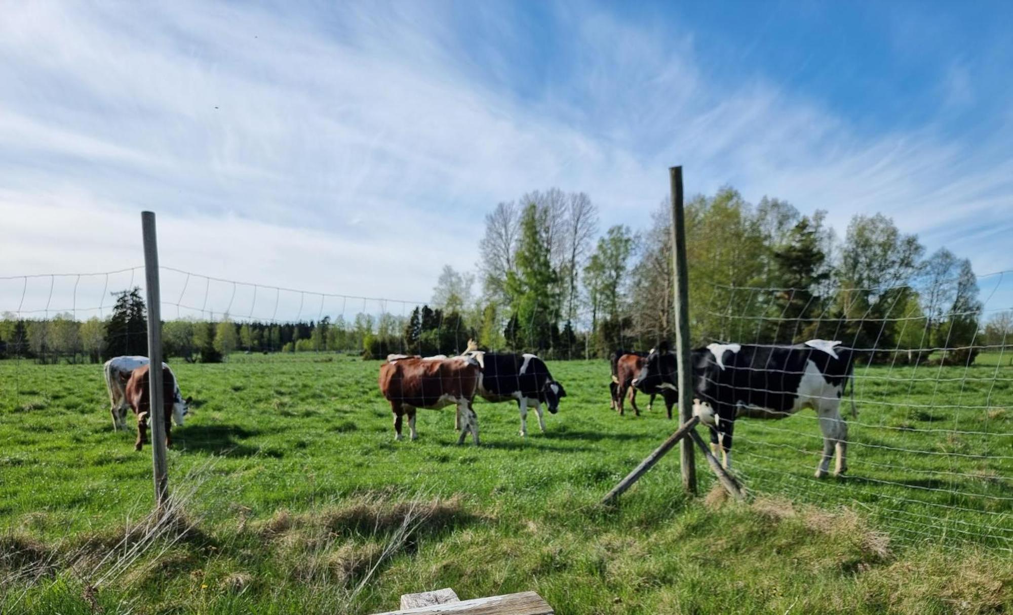 Kaggestorps Gard Hjo Exterior foto