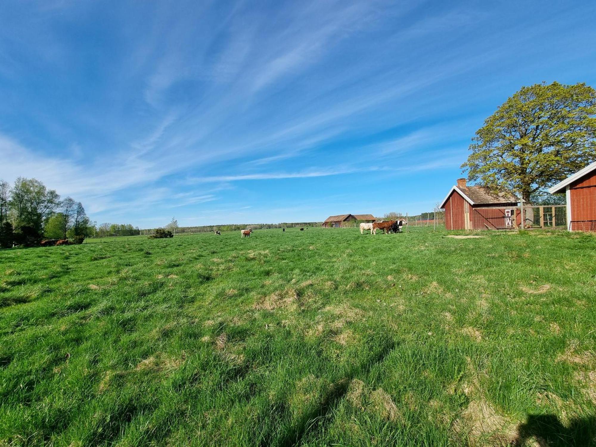 Kaggestorps Gard Hjo Exterior foto